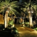 DMX Controlled Outdoor RGB LED Palm Tree Flood Lights